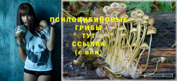дживик Осинники