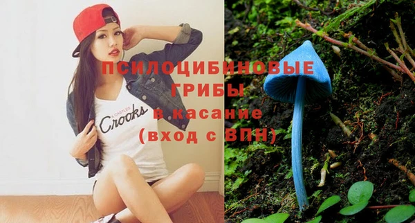 дживик Осинники